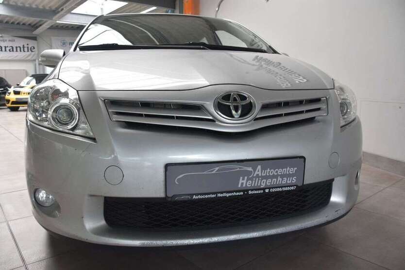 Auris