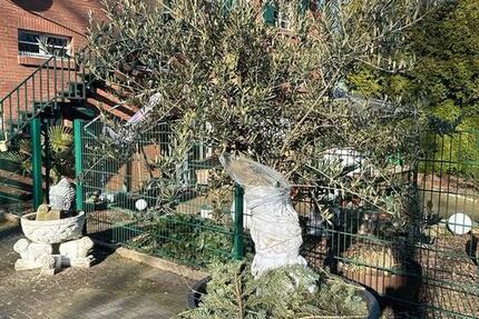 Haus Essen Stadtbezirk VII - 20 Zimmer, 570 m&sup2;, 1.600.000&euro; | Angebot:25612813