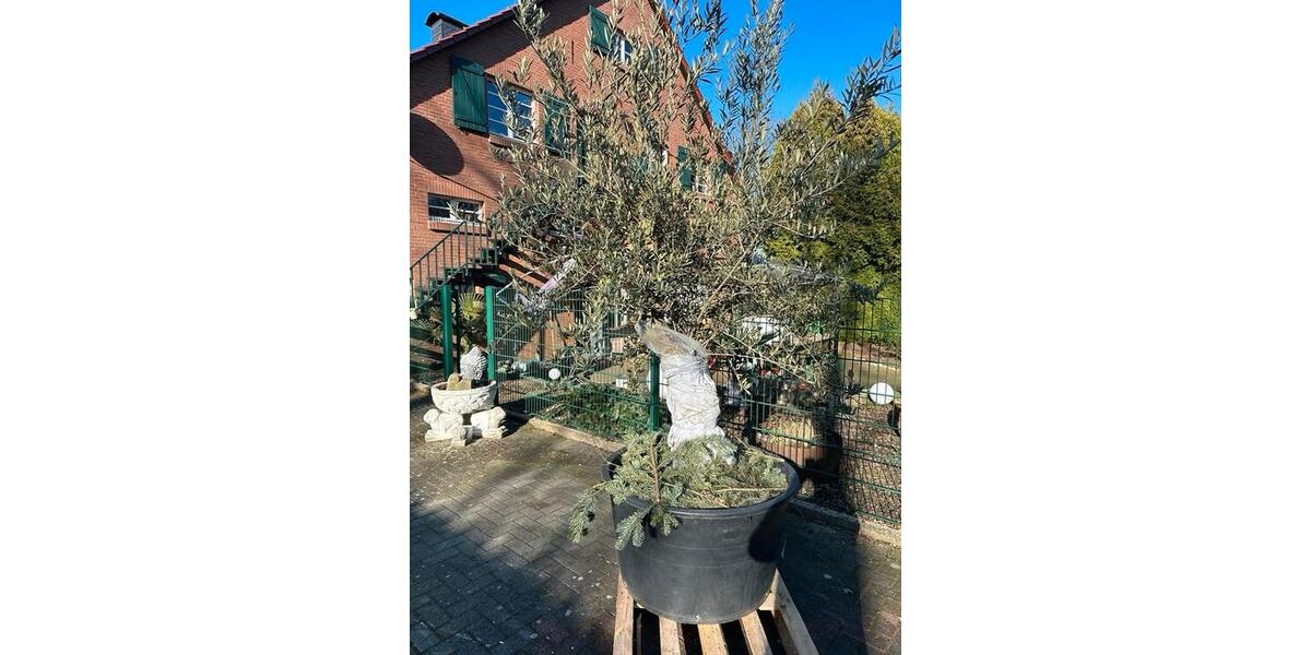 Mehrfamilienhaus, Wohnhaus Essen Stadtbezirk VII - 20 Zimmer, 570 m&sup2;, 1.600.000&euro; | Angebot:25612813