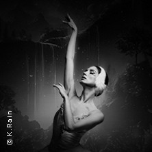 Grand Classic Ballet - Schwanensee - Jenseits der Bühne mit live Streichquartett 22.03.2026 Stadthalle Kamp-Lintfort