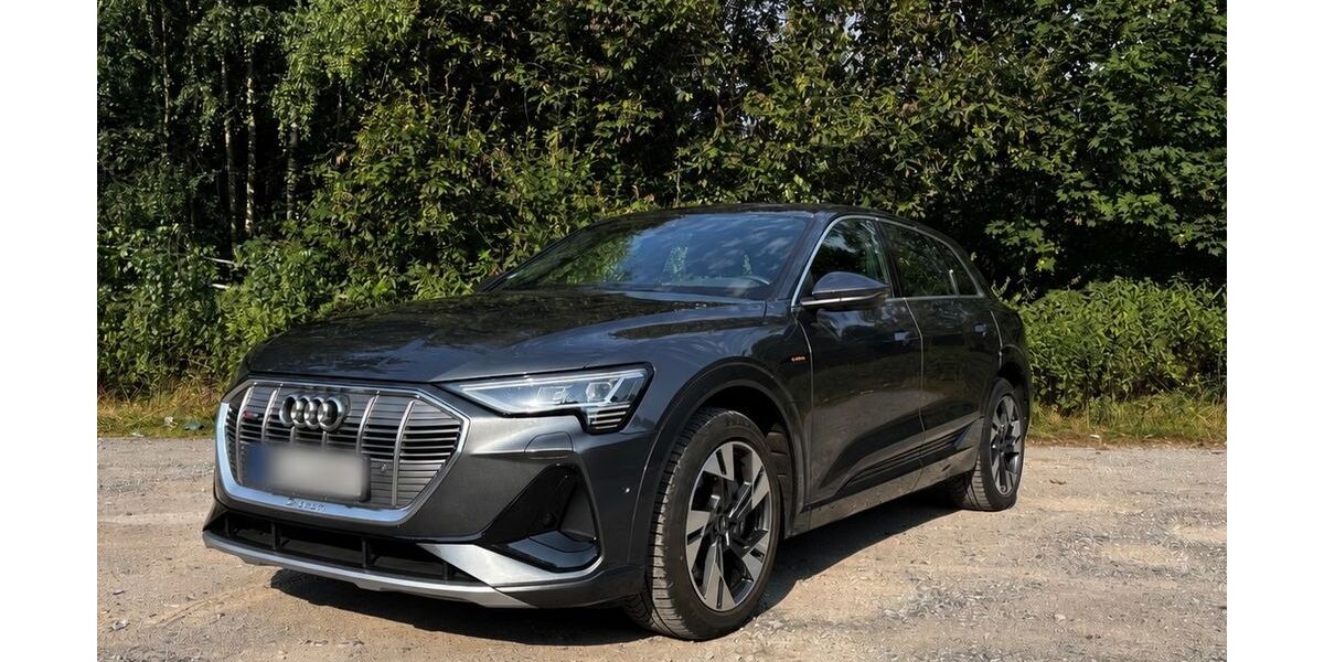 Audi e-tron 49.290 km 30.999 &euro; Gelsenkirchen 45894
