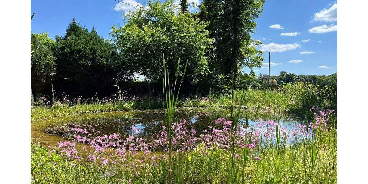 Bauernhaus, Landhaus Moers Vinn - 5 Zimmer, 244 m&sup2;, 797.000&euro; | Angebot:25038122