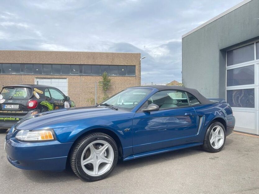 Mustang