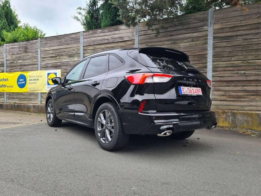 Kuga