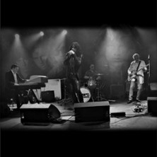 The Doors Tribute Band - The Doors Rising 14.05.2026 Capitol Theater