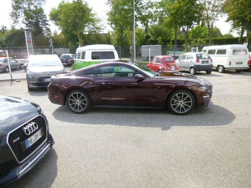 Mustang