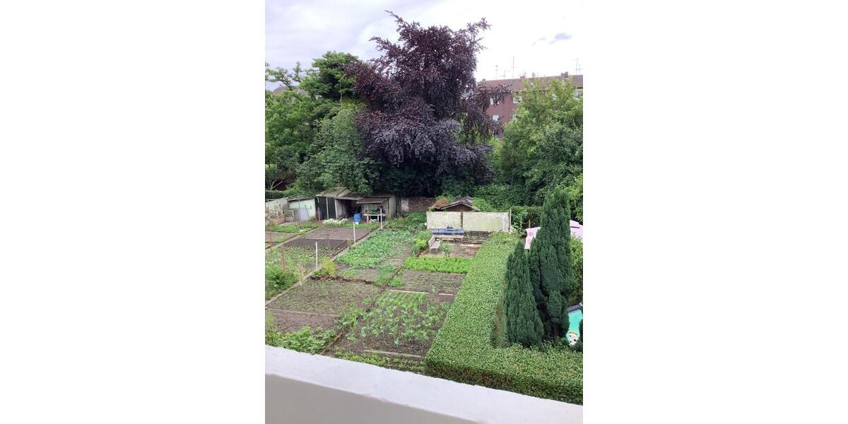 Komm nach Styrum! Perfekt renovierte 2 Zimmer mit großer Küche und Balkon , kurzfristig 2 zimmer