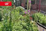 Reihenmittelhaus Bottrop Batenbrock - 5 Zimmer, 100 m&sup2;, 335.000&euro; | Angebot:26909562