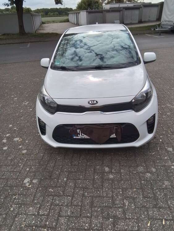 Picanto