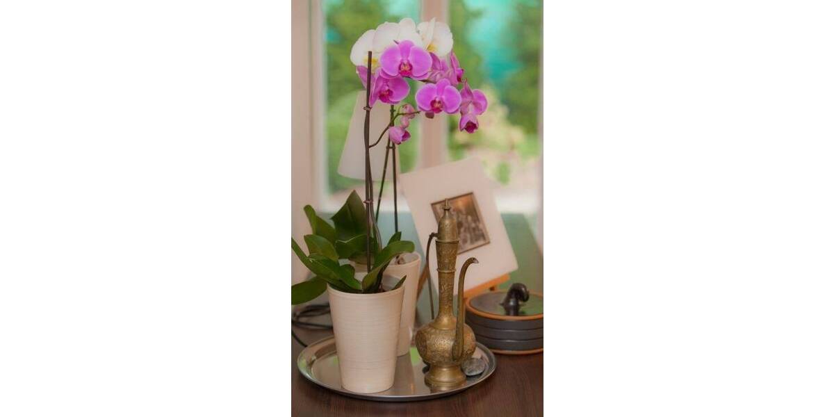 Etagenwohnung Krefeld Inrath/Kliedbruch - 3 Zimmer, 111 m&sup2;, 470.000&euro; | Angebot:23971431