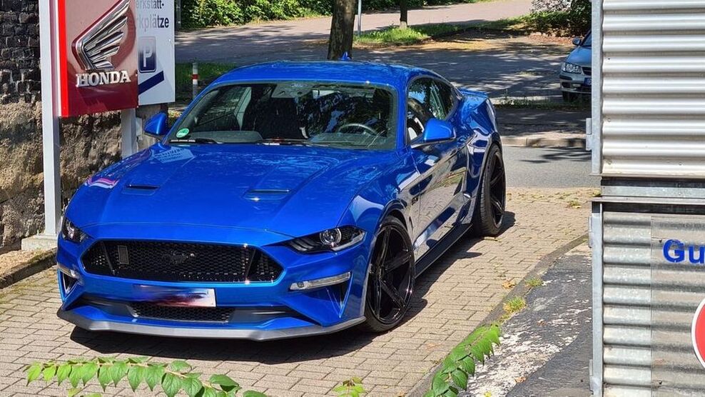 Mustang