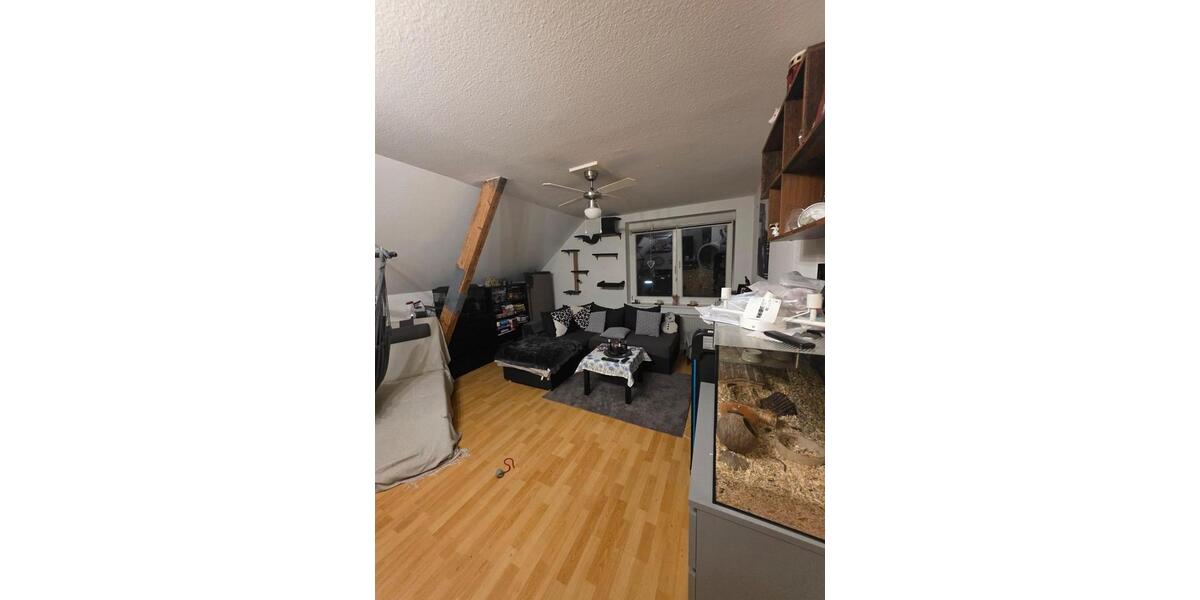 Dachgeschoßwohnung Krefeld Cracau - 4 Zimmer, 86 m&sup2;, 695&euro; | Angebot:26151684