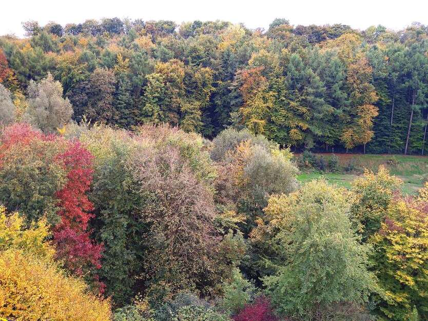 Wohnung zum Mieten in Velbert 550 € 70 m² 2 zimmer