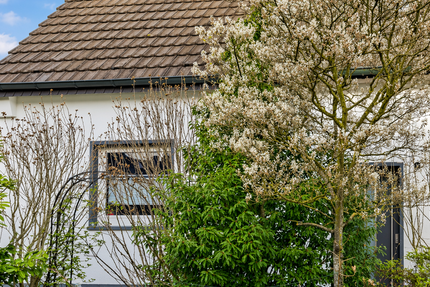 Haus Willich-Anrath Anrath - 6 Zimmer, 130 m&sup2;, 369.000&euro; | Angebot:26366653