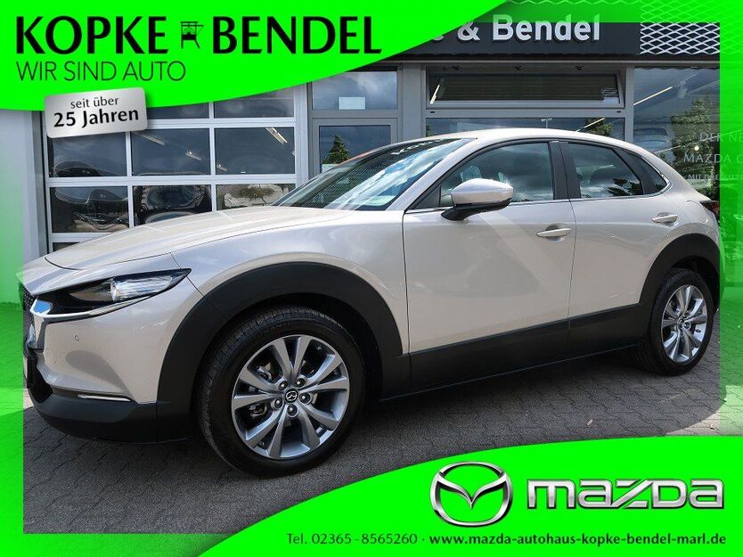 CX-30