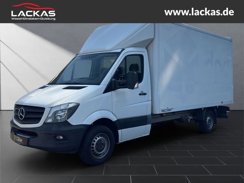Sprinter