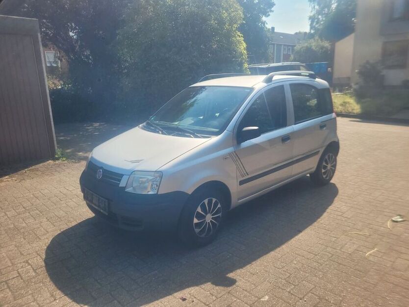 Panda