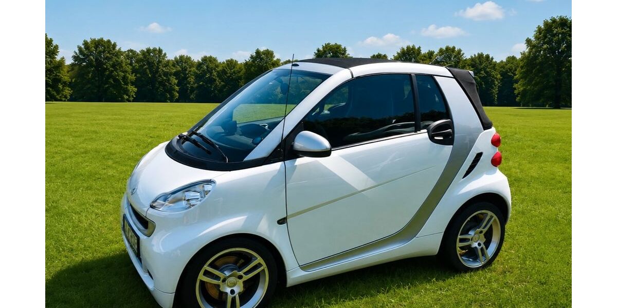 Smart ForTwo 79.000 km 7.490 &euro; Duisburg 47169