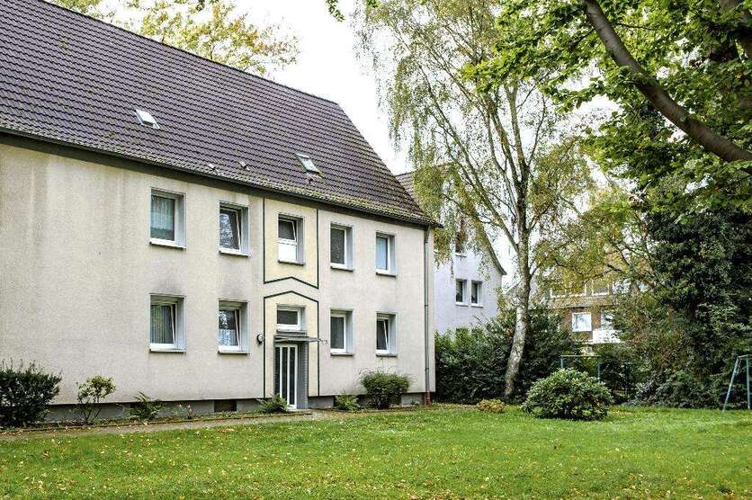 Wohnung zum Mieten in Gelsenkirchen 389 € 48.35 m² 2.5 zimmer