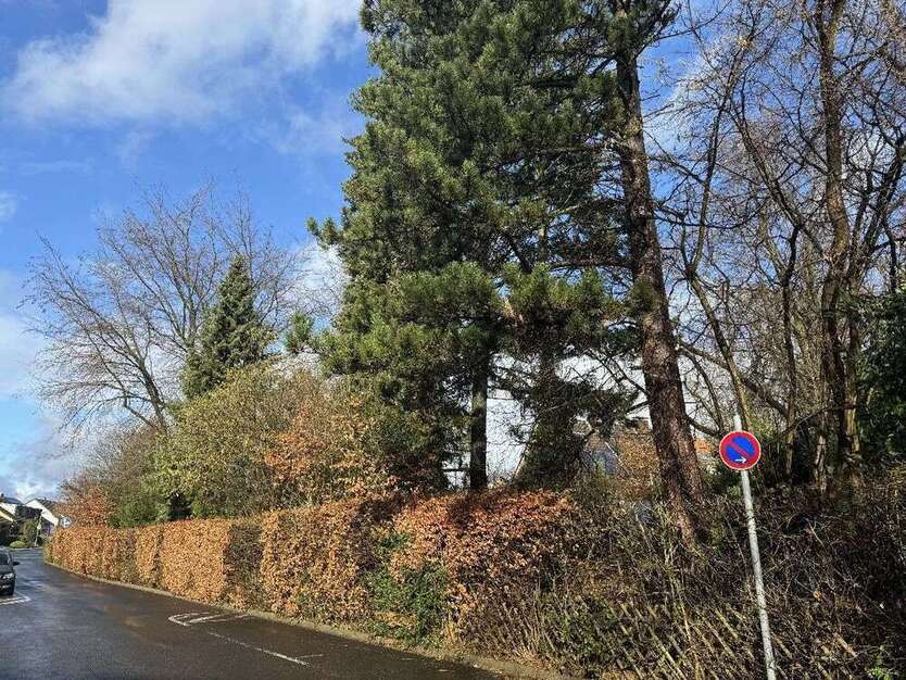 Grundstück zu verkaufen in Mettmann 750.000 € 450 m²