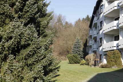 Wohnung 1,5 Zimmer 1 zimmer