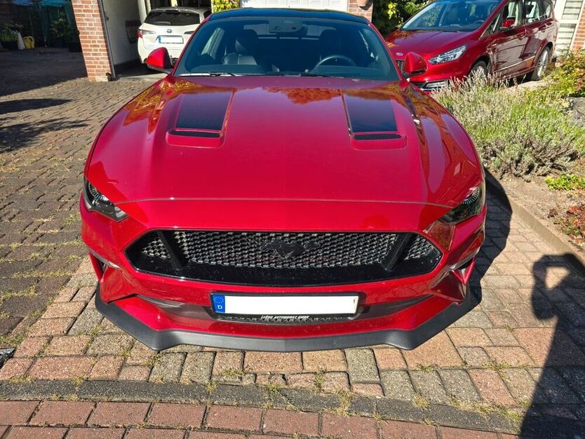 Mustang