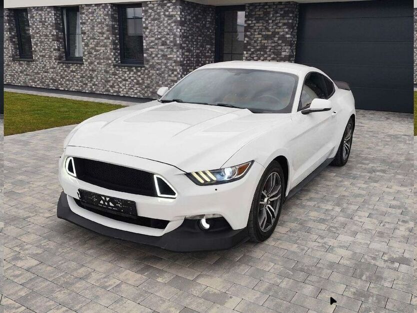Mustang
