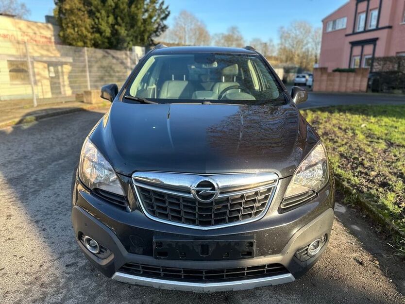 Mokka