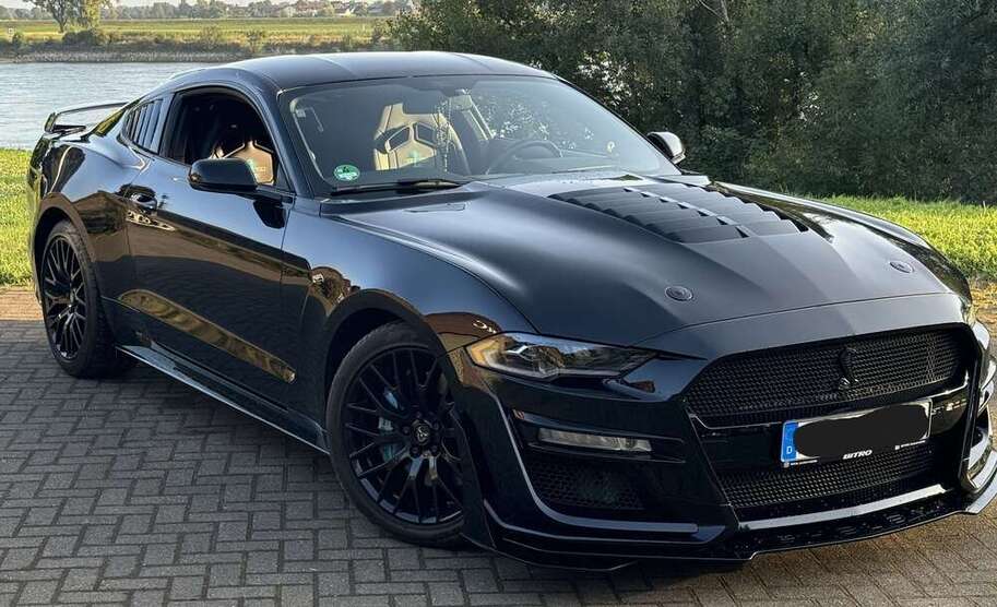 Mustang