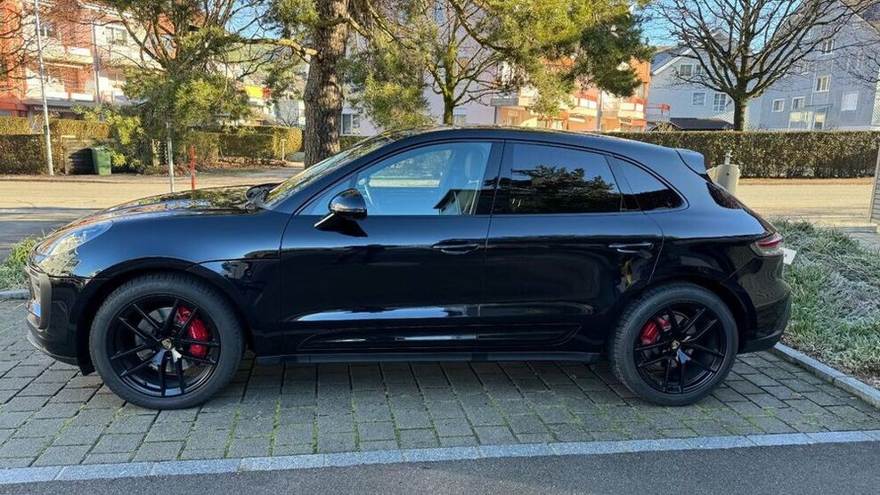 Macan