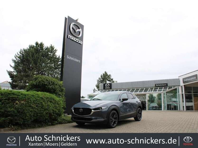 CX-30