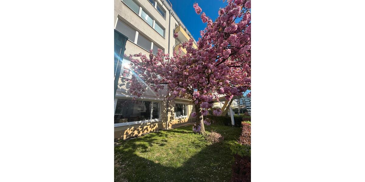 Gewerbeobjekt Düsseldorf Pempelfort - 1.800&euro; | Angebot:26348298