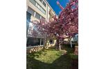 Gewerbeobjekt Düsseldorf Pempelfort - 1.800&euro; | Angebot:26348298