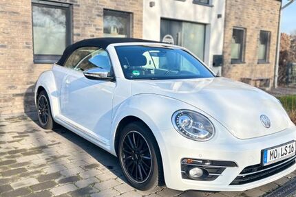 VW Beetle 103.000 km 13.500 € Alpen 46519