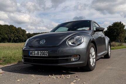 VW Beetle