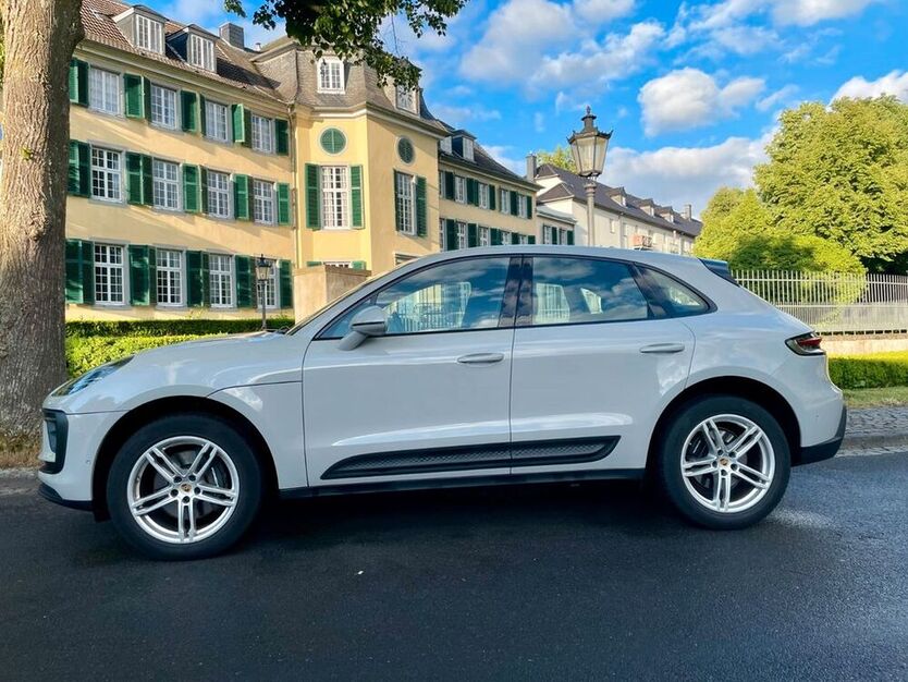 Macan