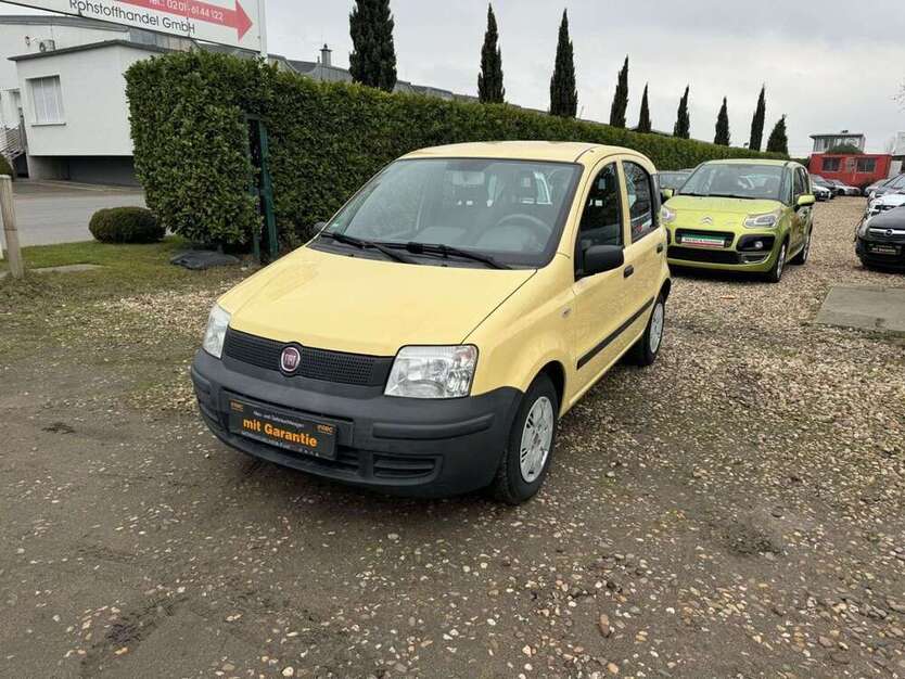 New Panda