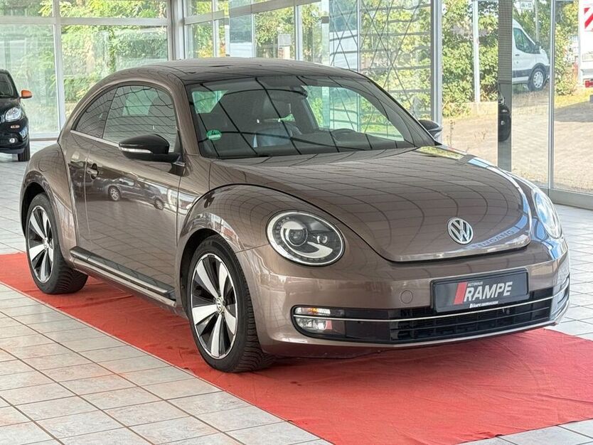 Beetle