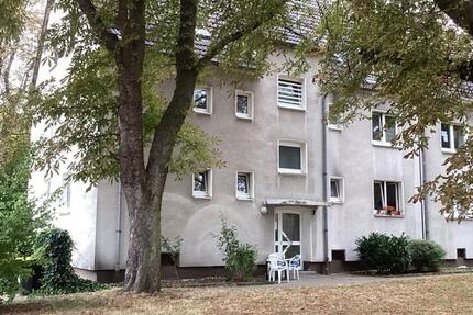 Etwas besonderes: weitläufige 3-Zimmer-Wohnung zimmer