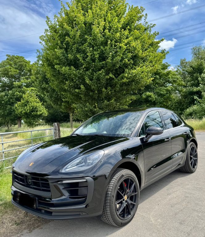 Macan