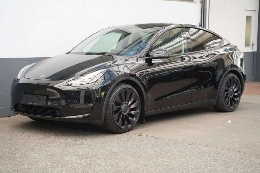 Model Y