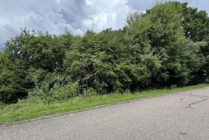 Grundstück zu verkaufen in Waldbrunn 50.000 € 2062 m²