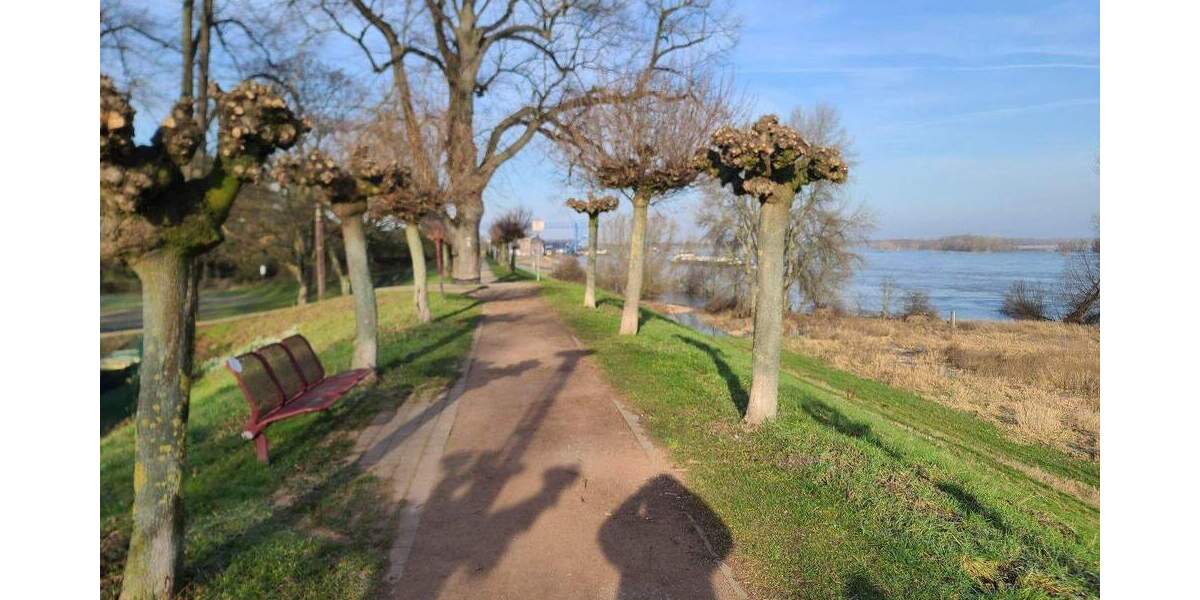 Doppelhaushälfte Rheinberg Orsoy - 7 Zimmer, 126 m&sup2;, 350.000&euro; | Angebot:25781574