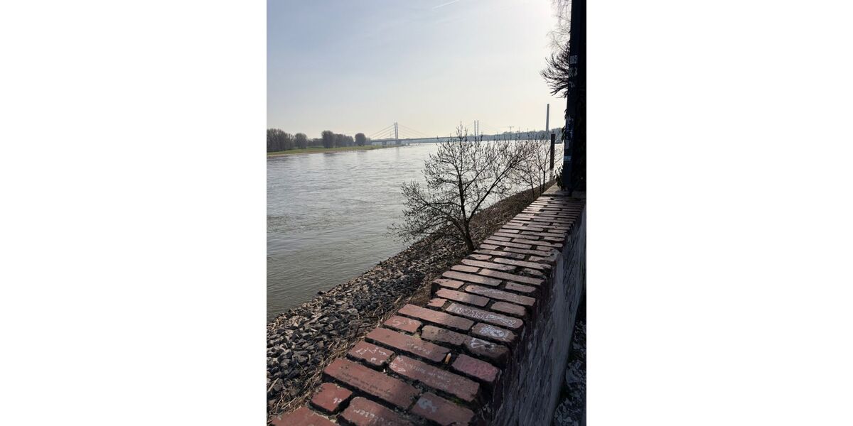 Provisionsfrei* Neubau Eckhaus EFH mit PV 10,4 KW+Garage 140m zum Rheinufer Energiebedarf 22,4 kWhm2a - Reihenendhaus Duisburg Essenberg | Angebot:25416155