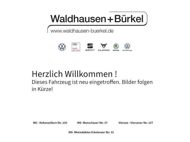 Amarok