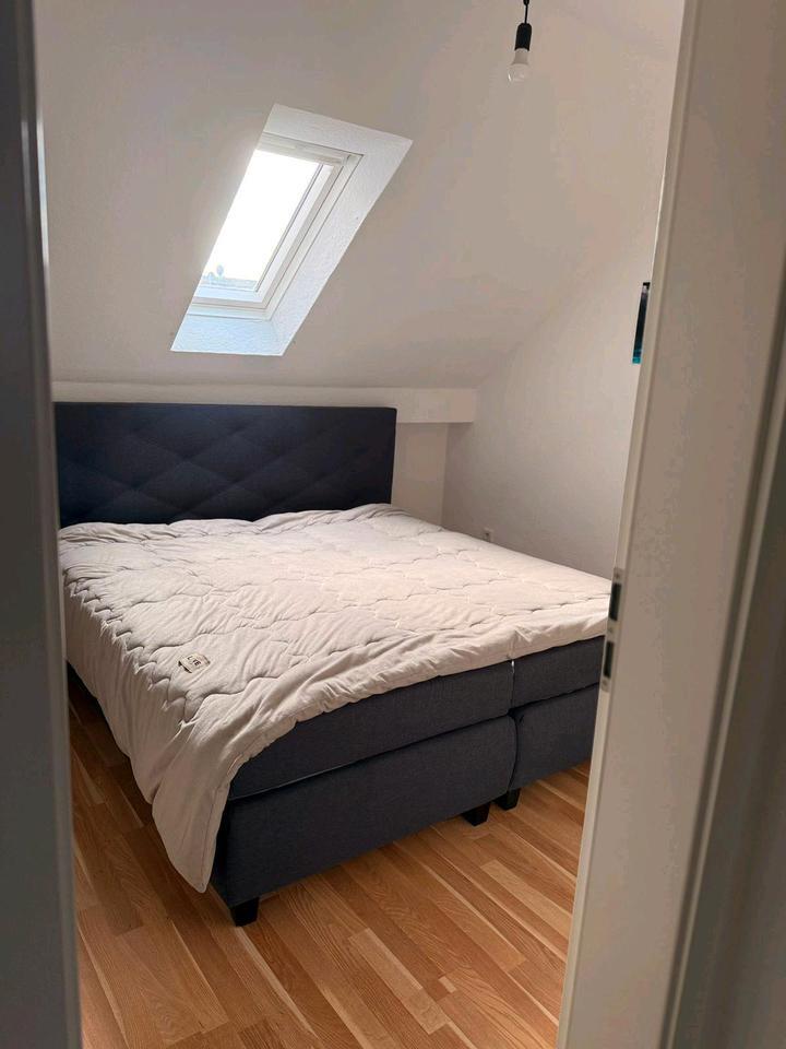 Wohnung zu vermieten