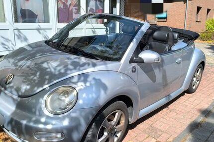 VW Beetle