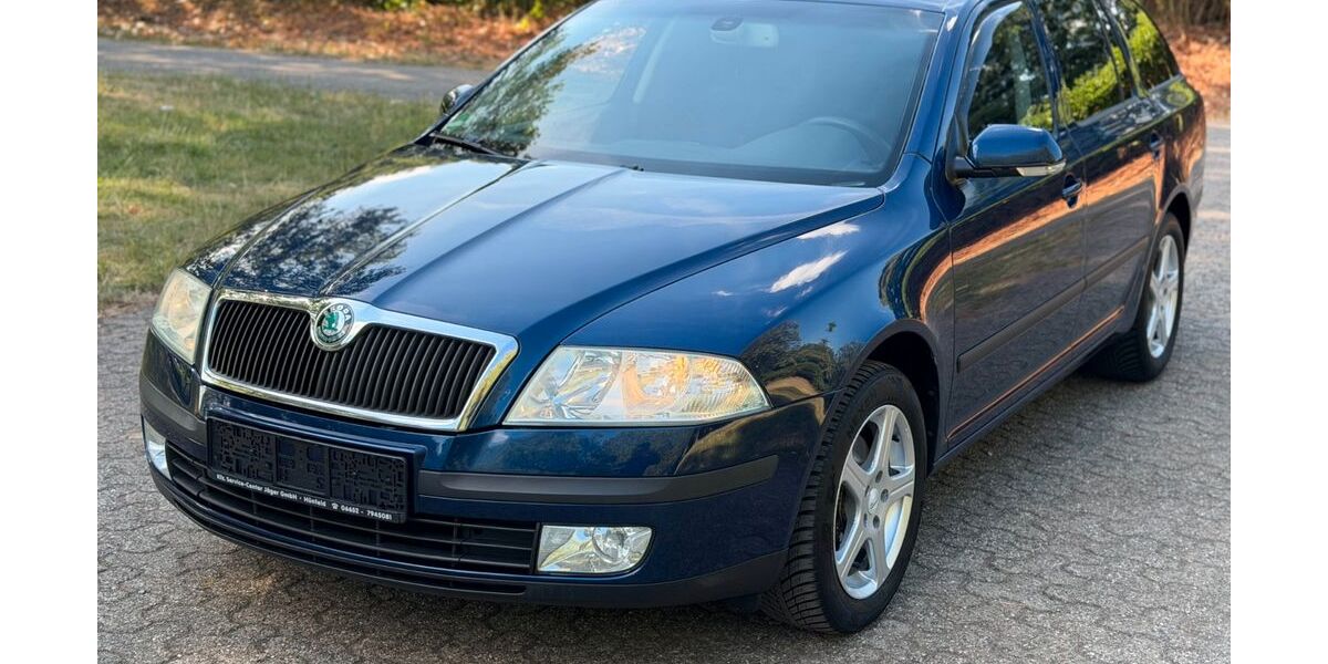 Skoda Octavia 168.360 km 3.899 &euro; Oberhausen 46045