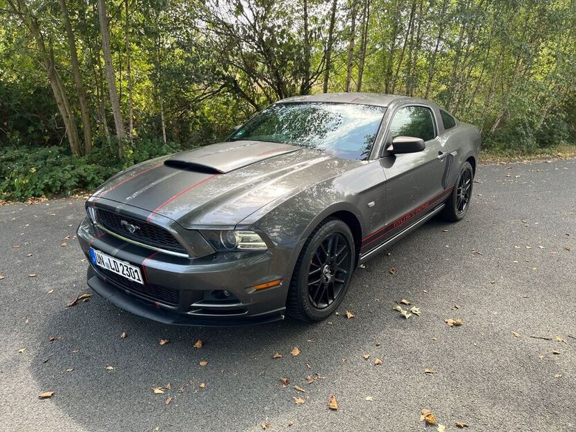Mustang
