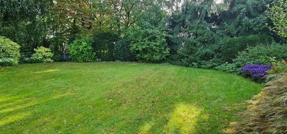 Grundstück zu verkaufen in Dormagen-Zons 439.000 € 660 m²
